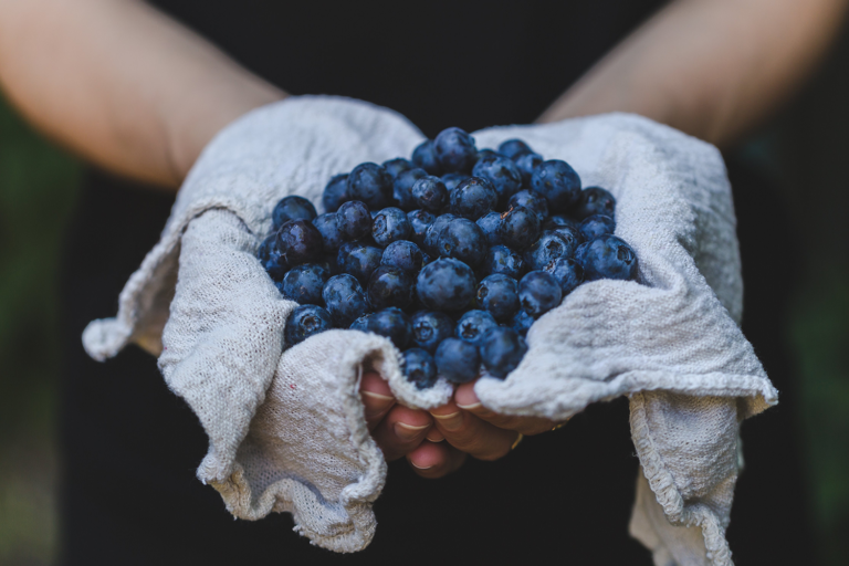 blueberries and blood pressure